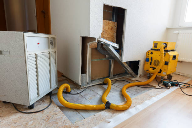 Best Emergency Mold Remediation  in Marion, PA